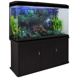 Acquario 300 Litri Con Armadietto Nero E Kit Con Piante E Ghiaia Nera 143cm X 120cm X 39cm características
