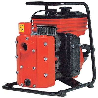 Motopompa Irrig. Cm 46/1a Autoadescante