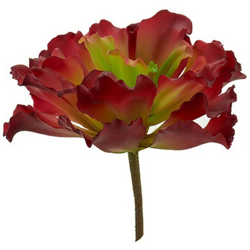 Pianta Decorativa Frunze 3 (23 x 22 x 22 cm) - IBERGARDEN en oferta