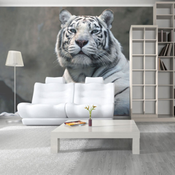 Fotomurale Tigre bengala allo zoo cm 2 cm 250x193 Artgeist en oferta