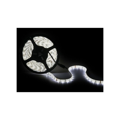 Greenice - Striscia Led 300 LEDs 40W SMD2835 24VDC IP65 x 5M | Giallo (GR-RDT2835-60-24-IP65-CW)