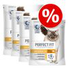 Perfect Fit 4 x 1,4 kg - Active 1+ Ricco di Manzo en oferta