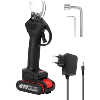 Pruner litio ricaricabile frutta albero forbici giardinaggio giardino strumenti wireless filiali nero potatura, una carica elettrica, 220V UE
