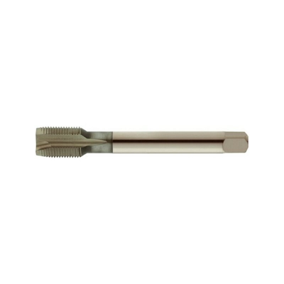 Maschio Macchina Per Fori Passanti, Filo Non Rivestito: M22 X 1.5, Lunghezza Totale 125 Mm, Ø 18,0 Millimetri Coda - FORUM