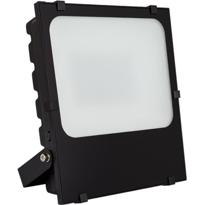 Ledkia - Proiettore LED 50W 135 lm/W HE Frost PRO Regolabile Bianco Naturale 4000K - 4500K