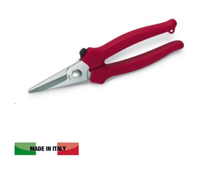 Forbice Cogliuva Art 20 Lama Inox Archman