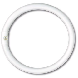 NEON CIRCOLARE 'TRIFOSFORI' L.FREDDA W22 - Ø mm 210 - 6400K - NOVAITALIA características