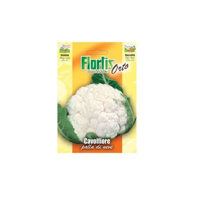 Cavolfiore Palla Di Neve - ORVITAL SPA - SEMI