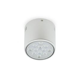 Downlight Montato a Soffitto a LED Alluminio 12W 1200Lm 30.000H | Bianco Naturale (HO-DOWNSUP12W-A-CW) - GREENICE en oferta