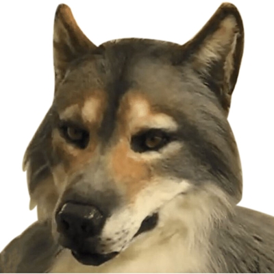 Halloween senza lattice Huskies - ASUPERMALL