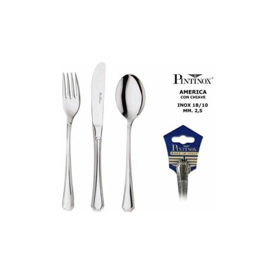 Cucchiaio Caffe' pz.6 America ch - PINTINOX