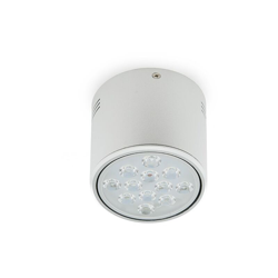 Downlight Montato a Soffitto a LED Alluminio 12W 1200Lm 30.000H | Bianco Caldo (HO-DOWNSUP12W-A-CW) - GREENICE en oferta