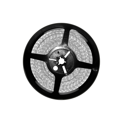 Silver - Striscia LED 5m 24vdc 48w 9.6w/m Luce Fria 6000k Ip20 Led Smd3528 246260