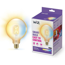 LAMPADINA GLOBO WI-FI E27 640LM WIZ 9290024184 78681600 - Philips Consumer características