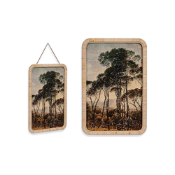 Tela Velluto (2 x 60 x 40 cm) - BIGBUY HOME precio