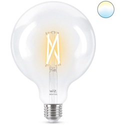 Philips Consumer Lampadina Globo Wi-Fi E27 806Lm Wiz 9290024183 78671700 características