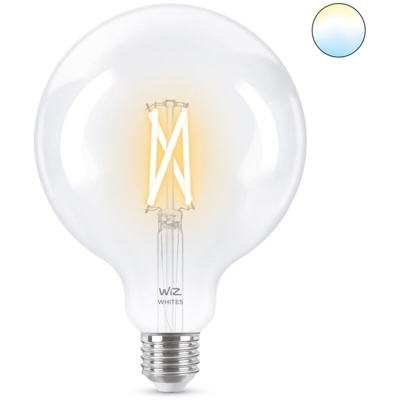 Philips Consumer Lampadina Globo Wi-Fi E27 806Lm Wiz 9290024183 78671700