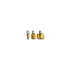 Fresa a corona HSS Dura 25 con attacco 3/4 in Weldon Ø foro 22 mm - 63134220075 - Fein precio