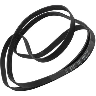 Aspes - Cinghia scanalata rondella Ariston A34CEX C00770336