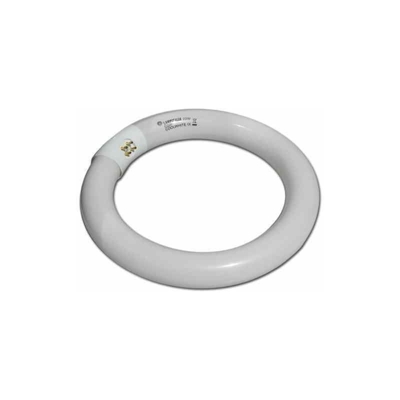Duralmp - LAMPADA TUBO a NEON CIRCOLARE CIRCOLINA 40W a RISPARMIO ENERGETICO BASSO CONSUM