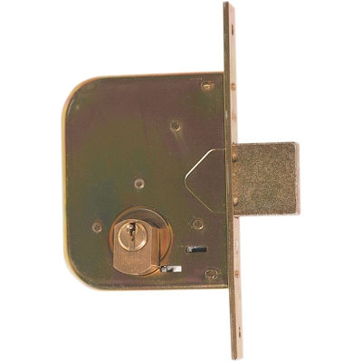 ISEO ART. 603.45.0 SERR. X CANCELLO C-CIL. - Iseo Serrature