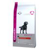 Eukanuba Labrador Retriever - 12 kg precio