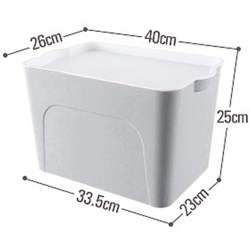 Scatola portaoggetti in plastica - AUGIENB precio