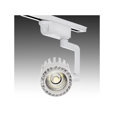Greenice - LED Luce Da Binario Monofase 30W 2600Lm 30.000H Faith IDI-FC-D-30-CW | Bianco Freddo (IDI-FC-D-30-CW)