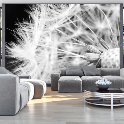 Fotomurale Black and white dandelion cm 300x210 Artgeist