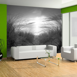 Fotomurale beach black and white cm 250x175 Artgeist precio