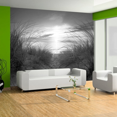 Fotomurale beach black and white cm 250x175 Artgeist