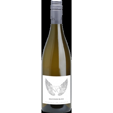 SAUVIGNON BLANC - VILLA DES ANGES - JEFF CARREL