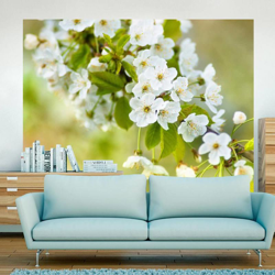 Fotomurale Delicati fiori di ciliegio cm 250x193 Artgeist características