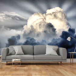 Fotomurale Pioggia nel cielo cm 200x154 Artgeist precio