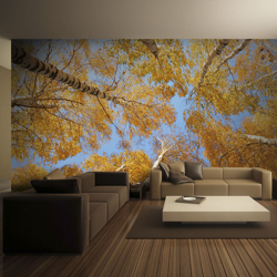 Fotomurale Chiome autunnali degli albe cm 250x193 Artgeist características