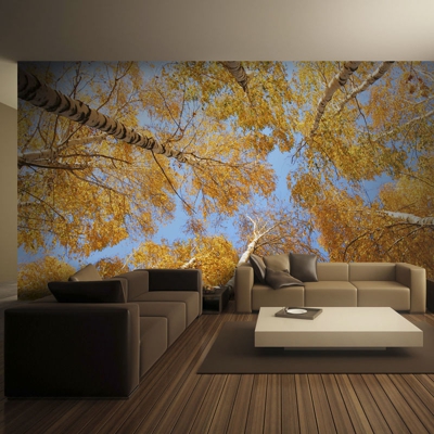 Fotomurale Chiome autunnali degli albe cm 250x193 Artgeist