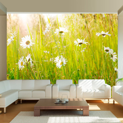 Fotomurale Prato di margherite cm 250x cm 250x193 Artgeist en oferta