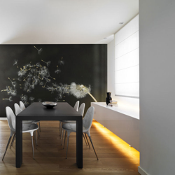 Fotomurale Semi di un soffione traspor cm 200x154 Artgeist en oferta