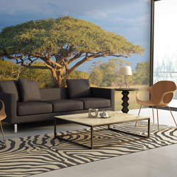 Fotomurale Acacia africana Parco Naziona cm 250x193 Artgeist en oferta