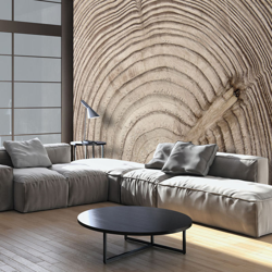 Fotomurale Cerchio dalbero cm 250x175 Artgeist en oferta