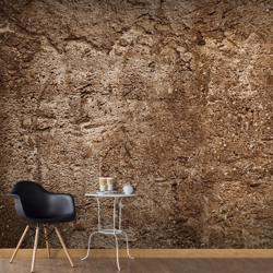 Fotomurale Cave of Time cm 250x175 Artgeist en oferta