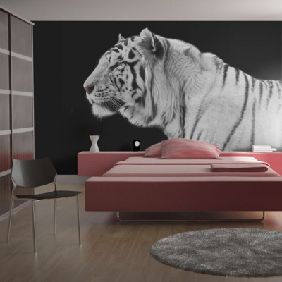 Fotomurale Tigre bianca cm 250x193 Artgeist