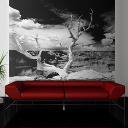 Fotomurale Albero sullo sfondo del Gra cm 200x154 Artgeist en oferta