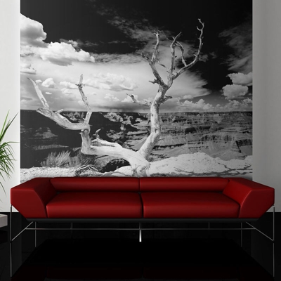 Fotomurale Albero sullo sfondo del Gra cm 200x154 Artgeist