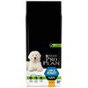 Pro Plan Puppy Large Robust OptiStart Pollo & Riso - Set %: 2 x 12 kg precio
