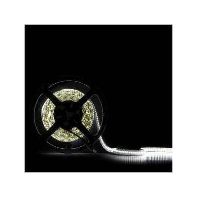 Striscia LED 12VDC SMD3528 240Xm 14W/M IP25 5M | Bianco Freddo (CA-240-3528-12V-IP25-CW) - GREENICE