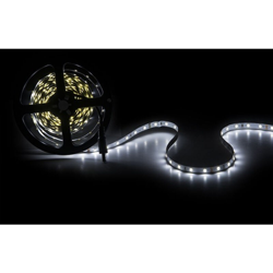 Striscia Led 300 LEDs 40W SMD2835 24VDC IP25 x 5M | Bianco Caldo (GR-RDT2835-60-24-CW) - GREENICE en oferta