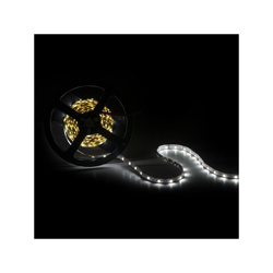 Greenice - Striscia Led Genere S 300 x SMD2835 40W 12VDC IP20 x 5M | Bianco Freddo (OB-FS173S-W) características