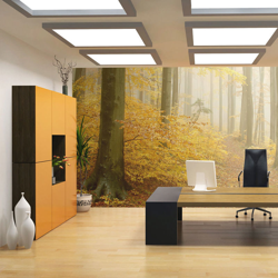 Fotomurale bosco autunno cm 250x193 Artgeist en oferta