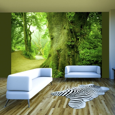 Fotomurale Sentiero nella foresta cm 200x154 Artgeist
